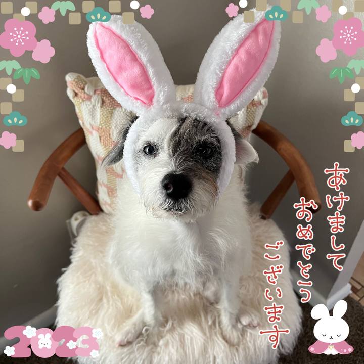 390ff0c6 8d0c 4d75 ad49 21cddd54643a 1672553260974