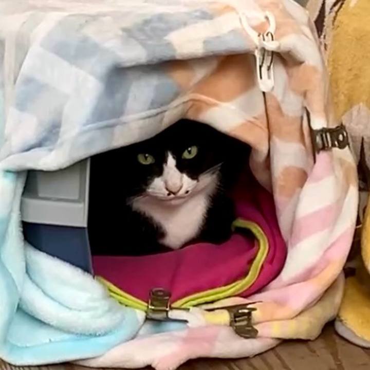 391005c1 497e 427f a1b4 f156a68cc857 1742176976784