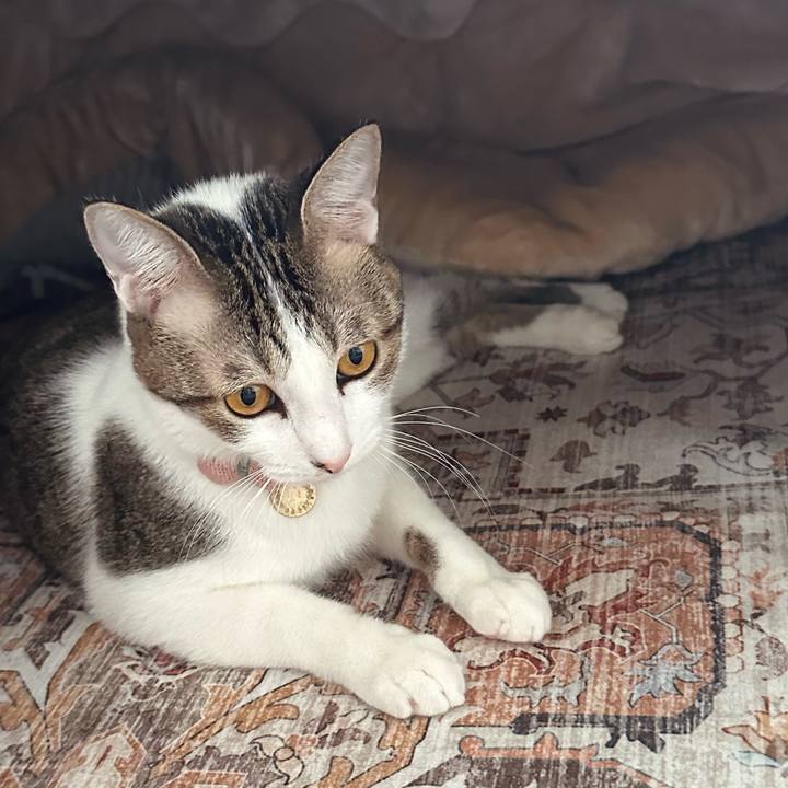 39100da7 c4fa 4ba9 958e 51d7750c16bd 1768965895076