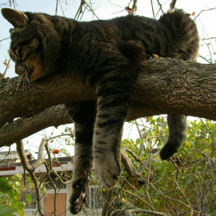 39100e2e 1606 4785 9c13 b69dfd988145 1510925877683