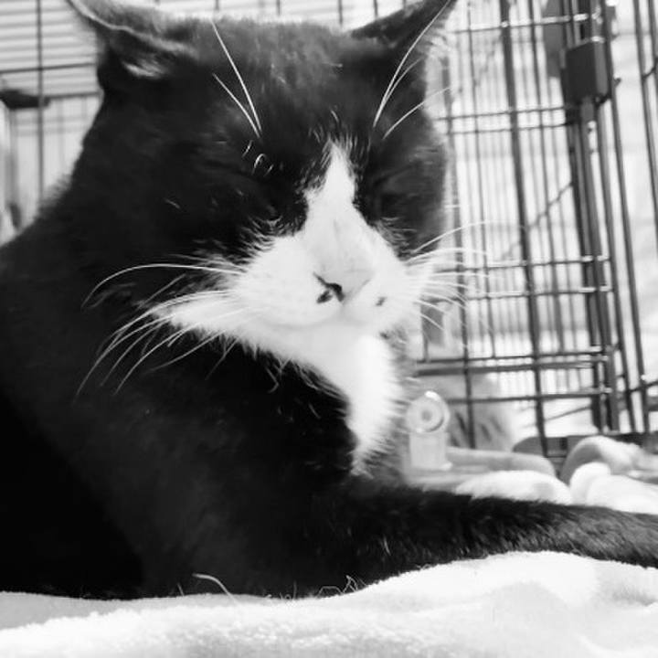 39101c07 3c50 449d b6d4 a0f9d37bd5ea 1751803363510