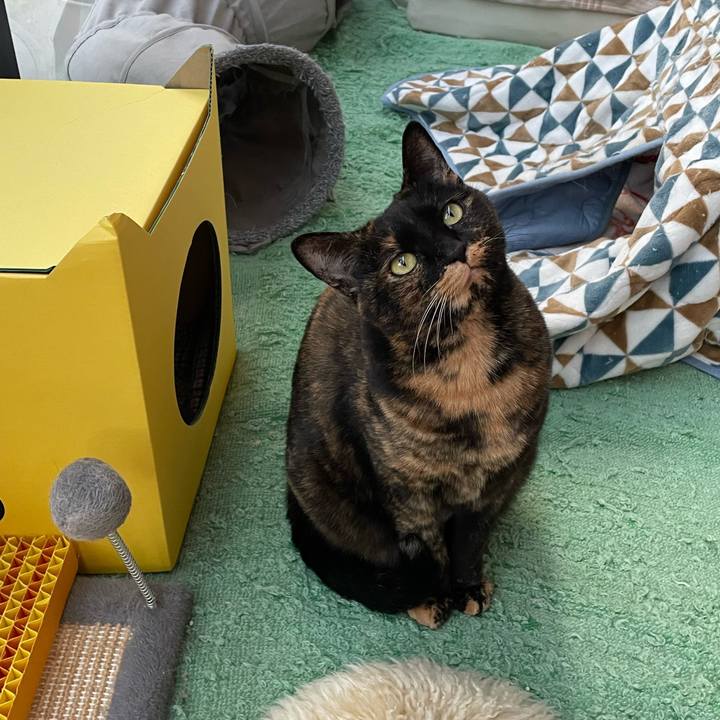 39104a66 5c63 4b08 8b4d bb3d0561e0e3 1764058765132