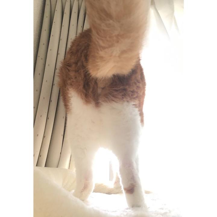 391051eb 9936 452b 9409 31a50e5539c5 1587963922894