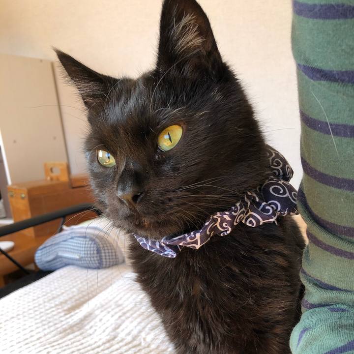 391055d1 3a6f 4674 93fc a8eeb55f6953 1585092526805