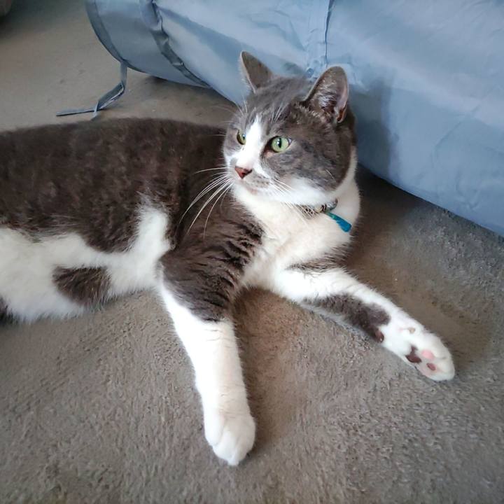 39105add f3a0 45d3 9251 cf4df9c7a26c 1721688581042