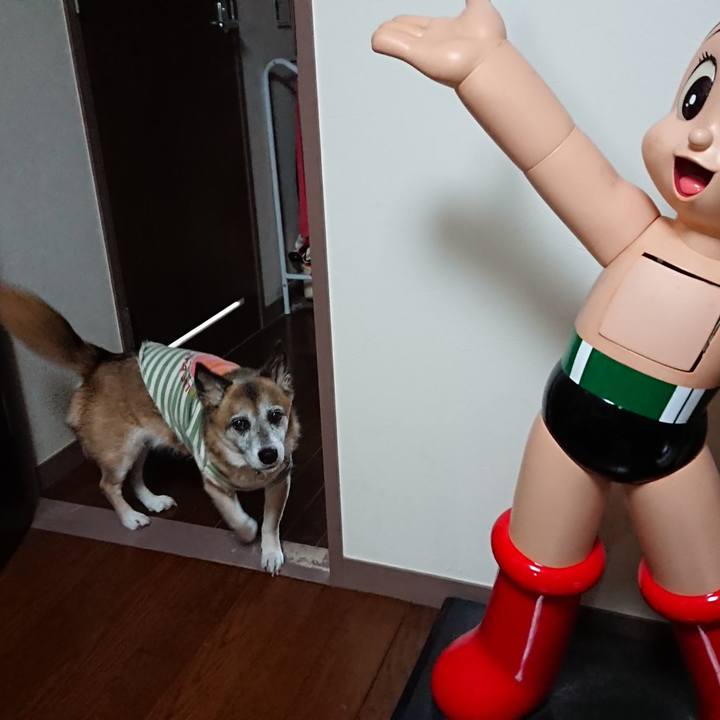 39106c52 56a5 4363 b247 86b48a20cd47 1589381517919