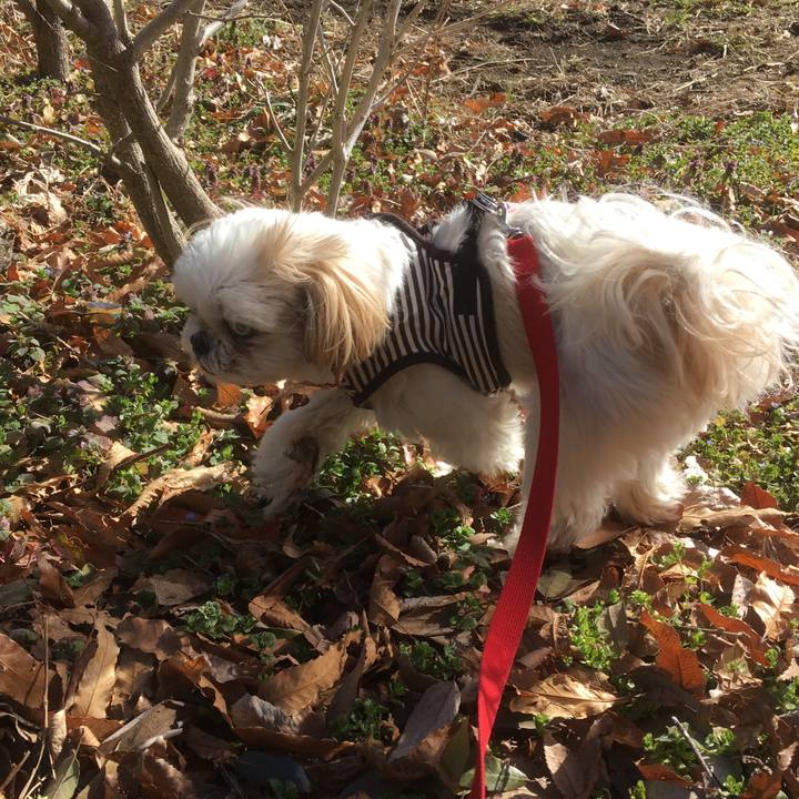 3910729c cf7f 4a48 9bd7 057c48c557ec 1519953807521