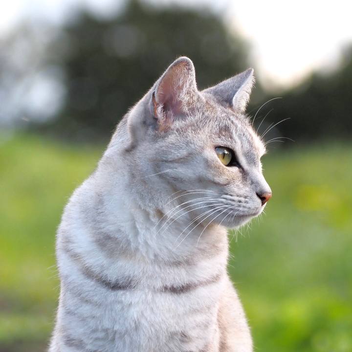 39107541 f6d2 4195 be97 b3b635bf7dd4 1765799329700