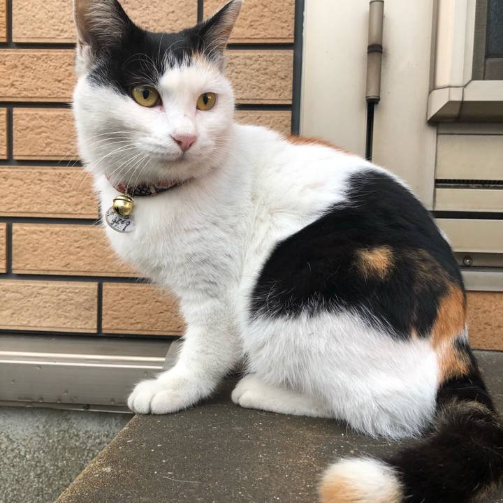 39107b03 c345 4db6 87d6 c11d4c6a8470 1606647755970