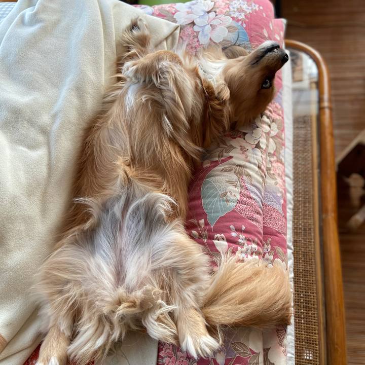 3910994a 1322 4a1a 9f6b c25ddd261f40 1574479340668