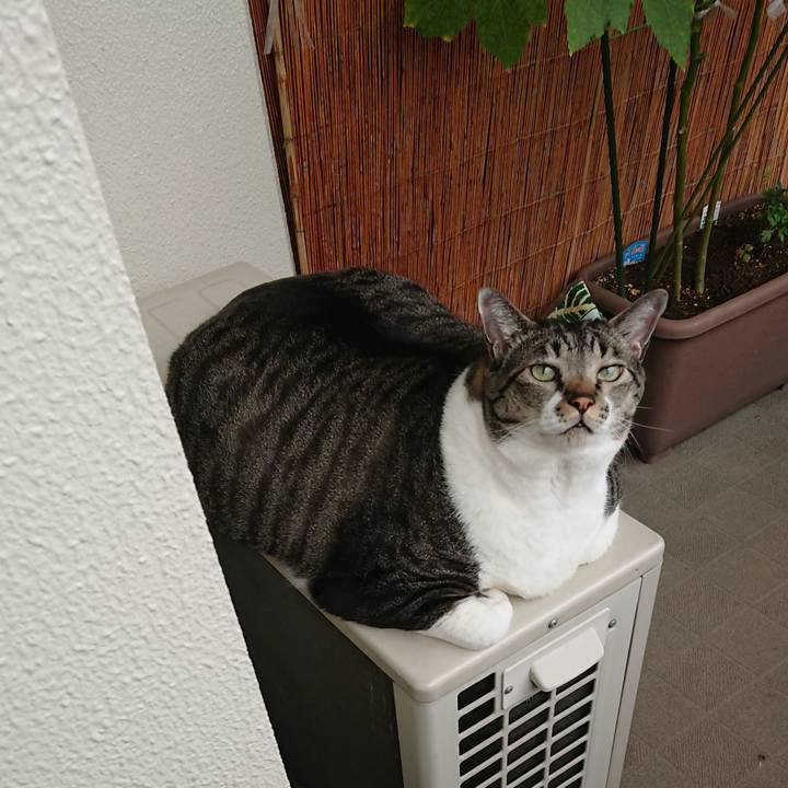 3910b57c 922f 41b5 bb47 a91048640d3d 1537057090357