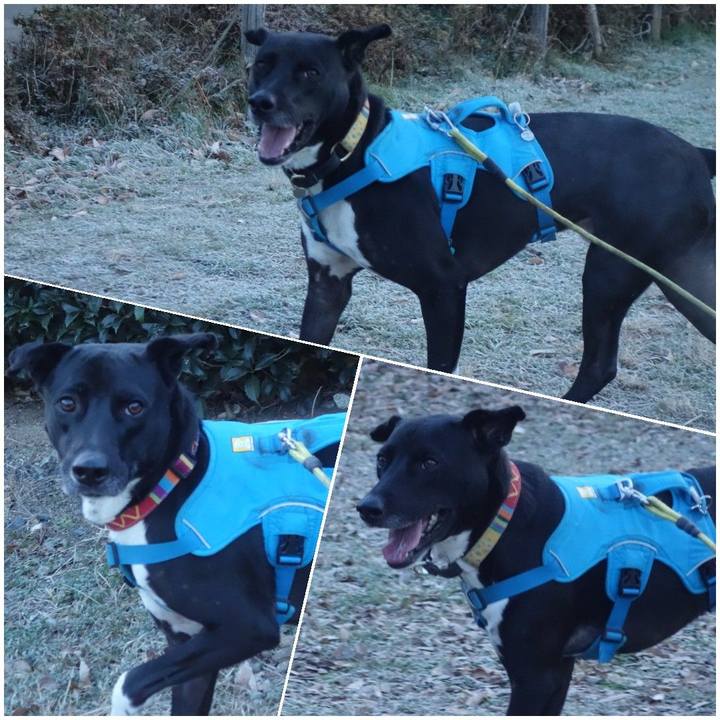 3910cec7 b1e9 4019 b18c 99b0eceb33b8 1608595327121