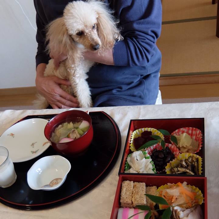 39117263 4f49 46fa 8e55 9018a9356297 1514808609717