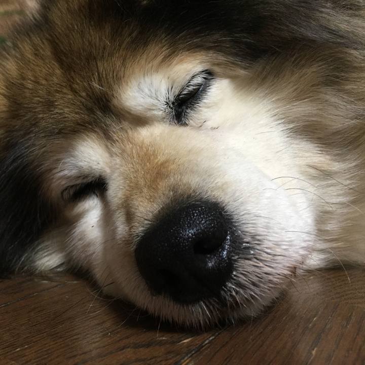 39119342 684a 47be ab79 be4294cbc9f3 1618614777628