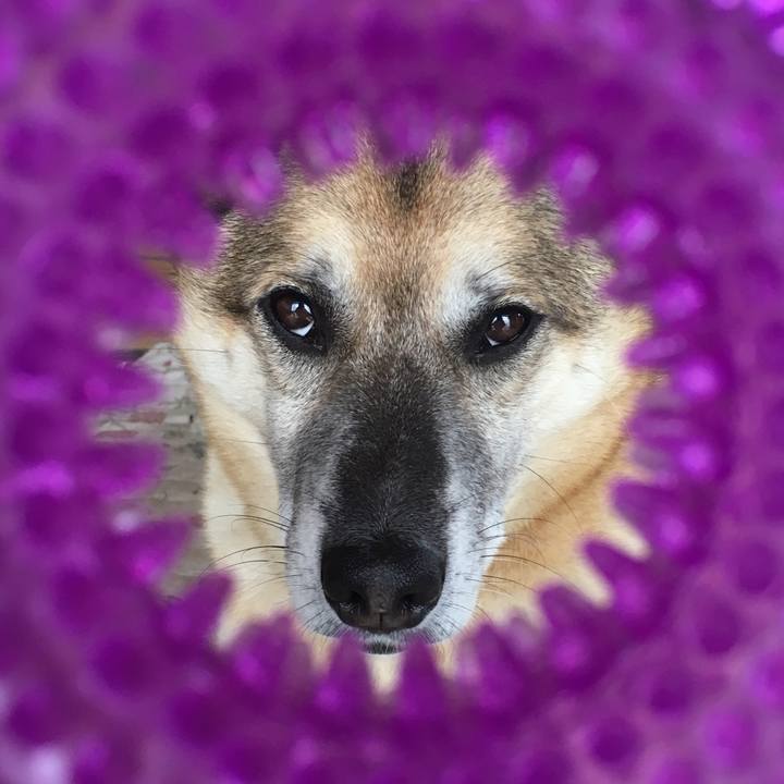 3911946a 6f70 477e 861b 7a127cc5aafa 1528673929579