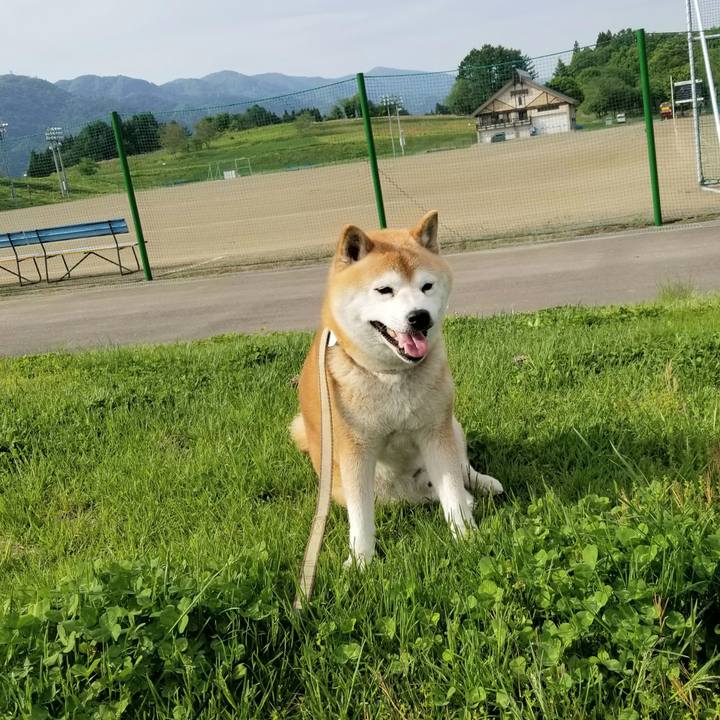 3911f12c 0caa 4472 ae46 66b4eaa158cc 1652770742088