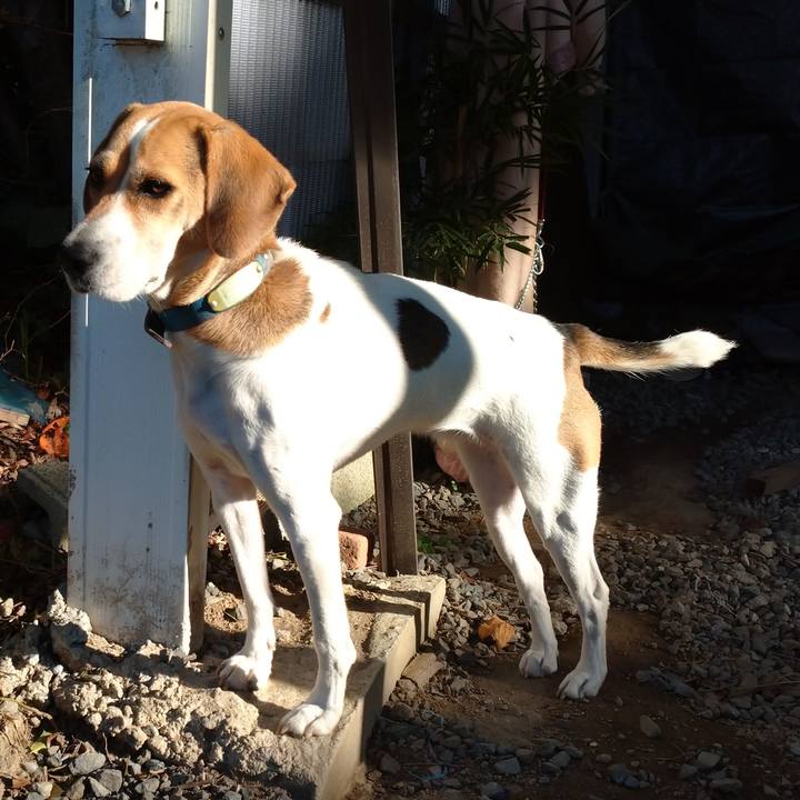 3911f85c cbbd 40b0 b4a8 cb78c5436c87 1603934459928