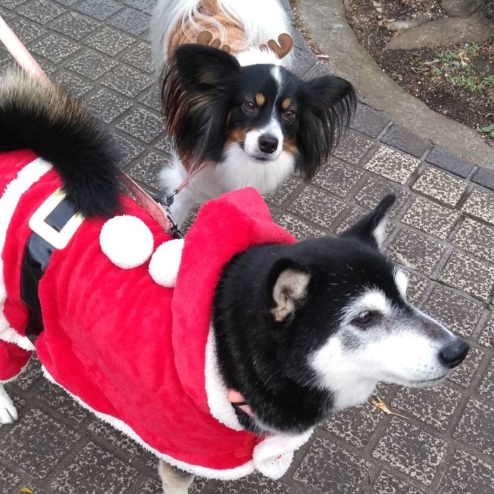 3911ff4f e44e 43c9 918f 75e275f2ffa5 1577233394302