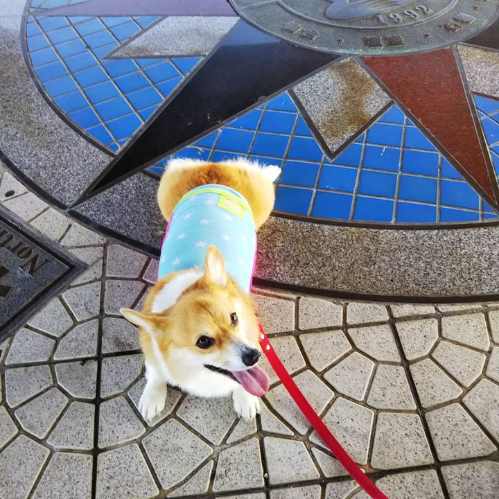 39122d9d 5756 4fec a712 3f45b740907b 1567943643904