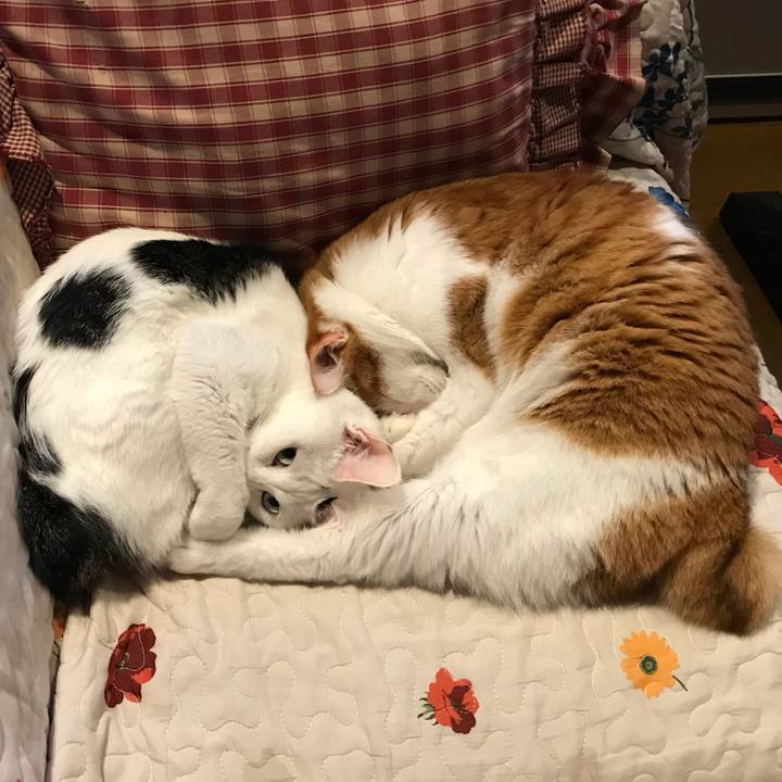 39124130 4adb 42bb 9e14 aa8b77b4a2a3 1538985040868