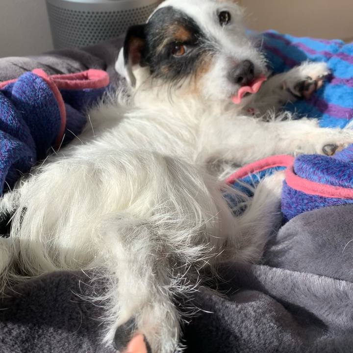 39126023 8812 42d0 9c73 9d4df7659f22 1610078288207