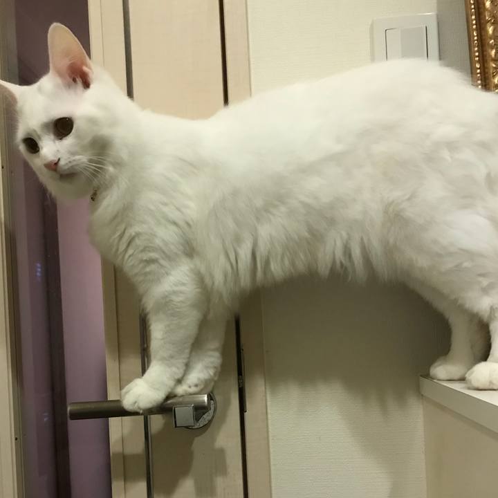 3912667d c4b9 414e 83e1 1e2c73716fff 1519909151575