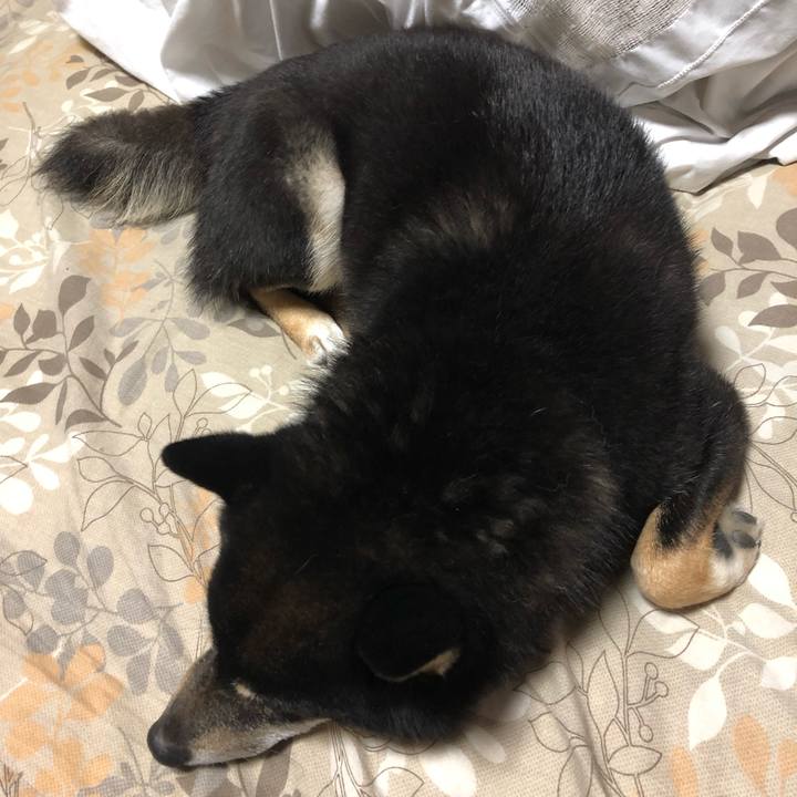 39126f70 ce9e 41f8 a06f ae0bb30af4e7 1550438799303