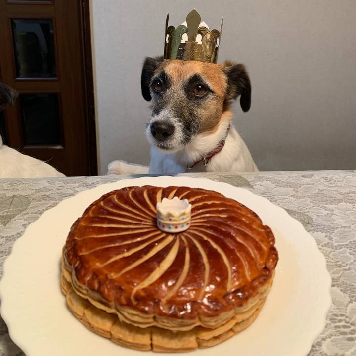 391295cc e43d 47b6 b8e2 c310f9eab5b2 1642513987834