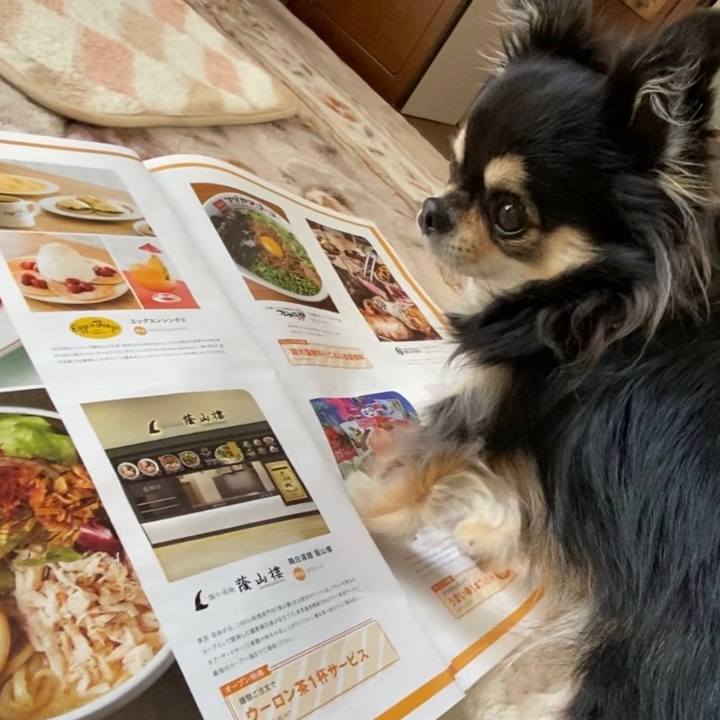 3912c861 420f 425c 86fe 2121f16fb758 1647663849620