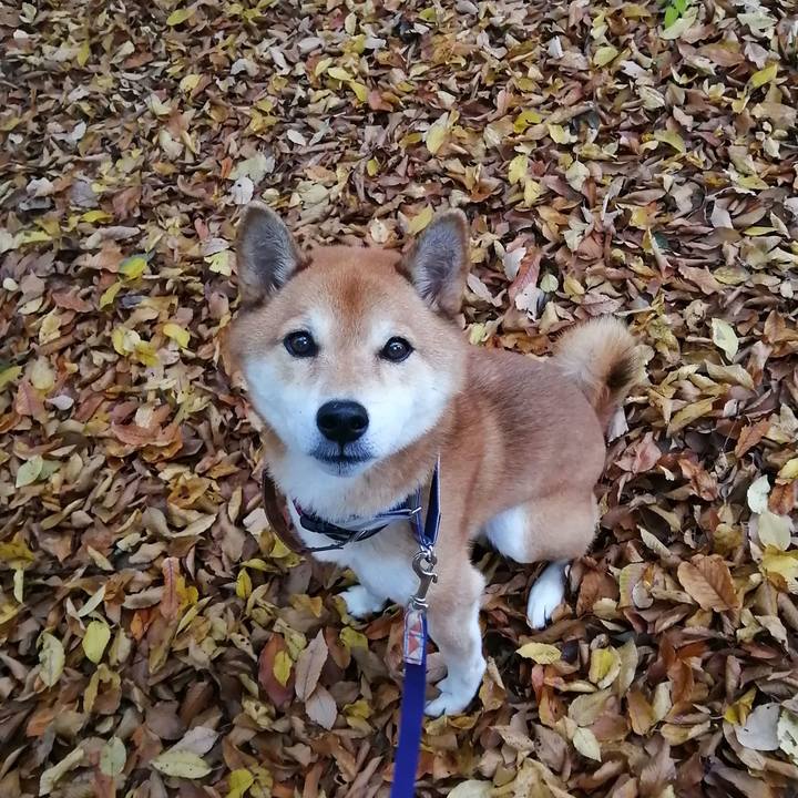 3912d8e2 f033 4fe8 9543 35c28724b943 1669462012120