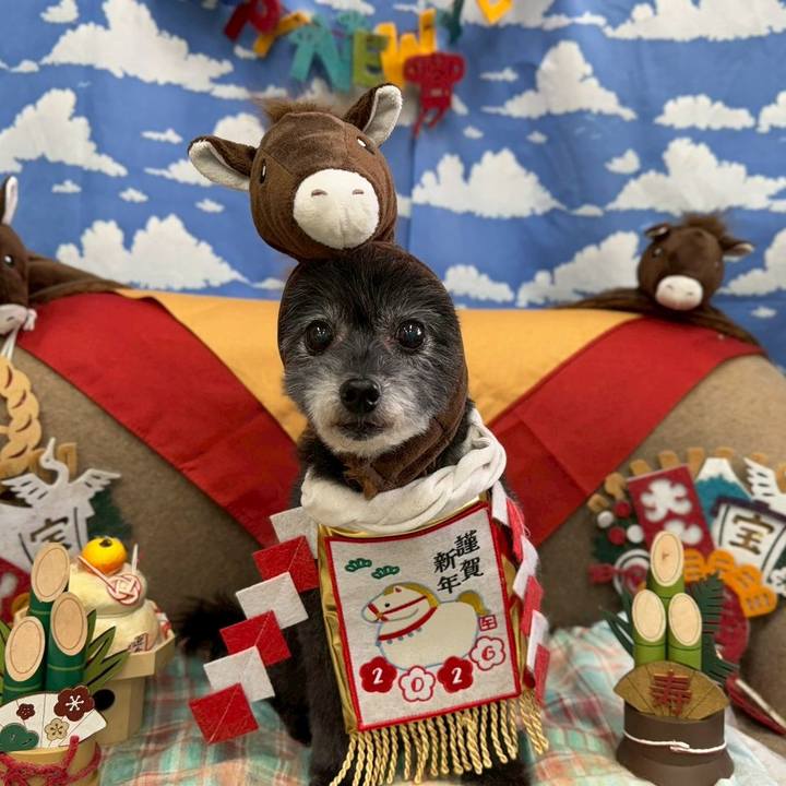 3912dd89 1cbd 44b9 93f0 f24f2b59957c 1768118775406