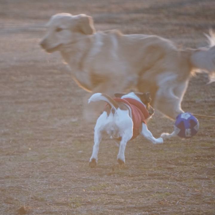 39133ac9 ecf4 4332 99b6 45a574ceb1fb 1614813665897