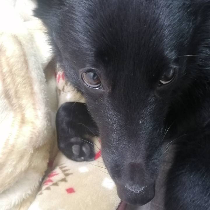 3913454b a7dc 4838 b30e a44e4d3010b6 1642772787709