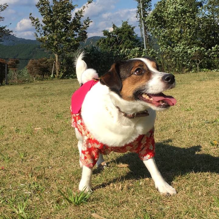 39135562 7f20 45a6 a1a5 3af5fb147893 1509789556091