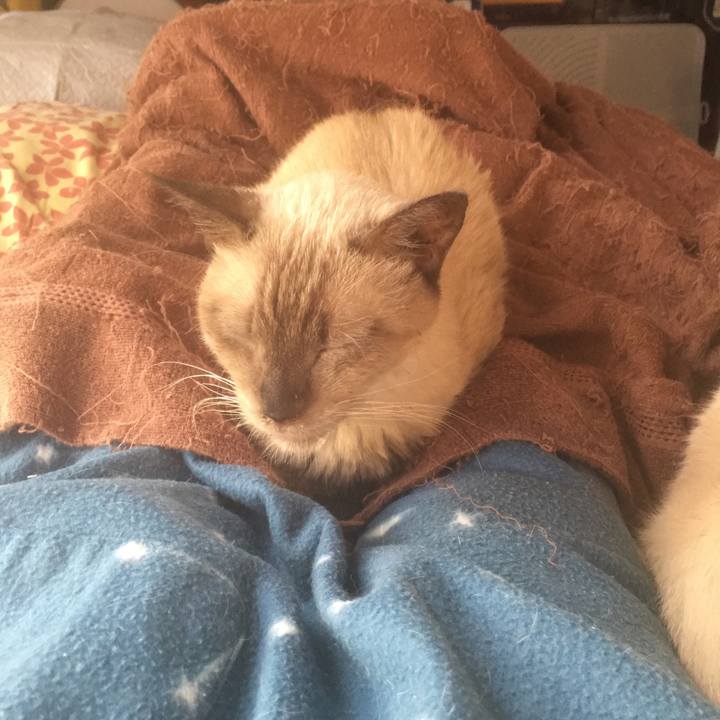 3913aba2 4ad2 42b6 9205 1144e727306a 1534630149962