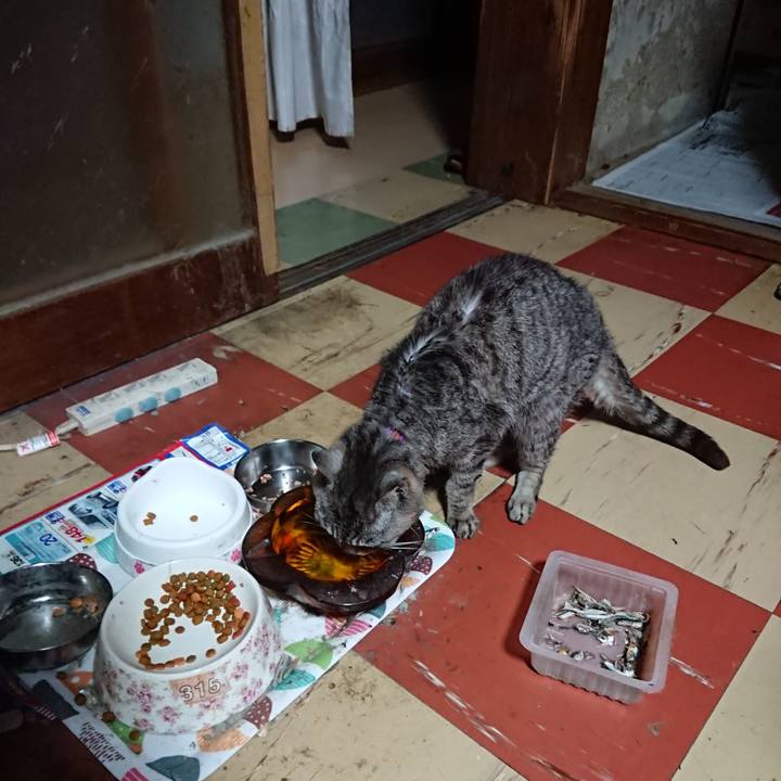 3913c07e af98 4bec 9009 0ecddd37d589 1595791971483