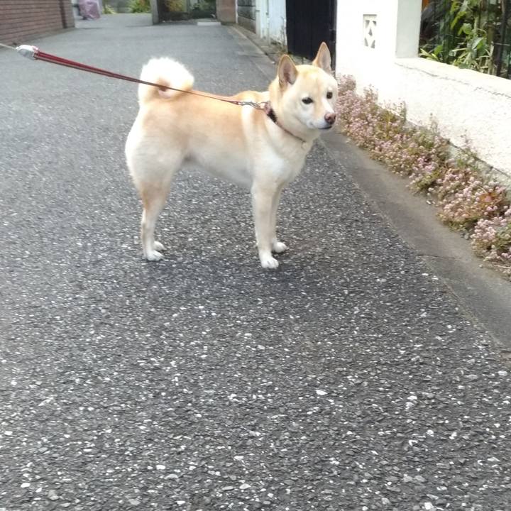 3913cc48 aee8 45b5 9055 1ca749c561cf 1607726141541