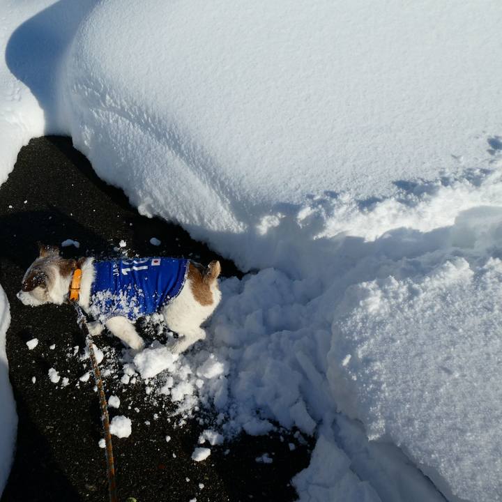 39142207 453f 4ad3 bfa6 9cd9b200e0e2 1610271968590