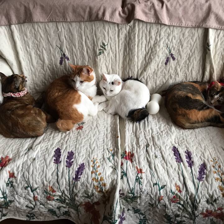 391428a6 bdd2 4c4a 9694 21cc2b3983f8 1624196560686