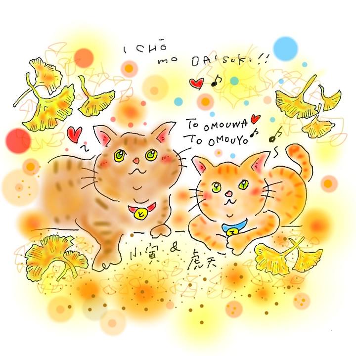 39145894 8d17 476d b2a6 13319c920574 1574963673476