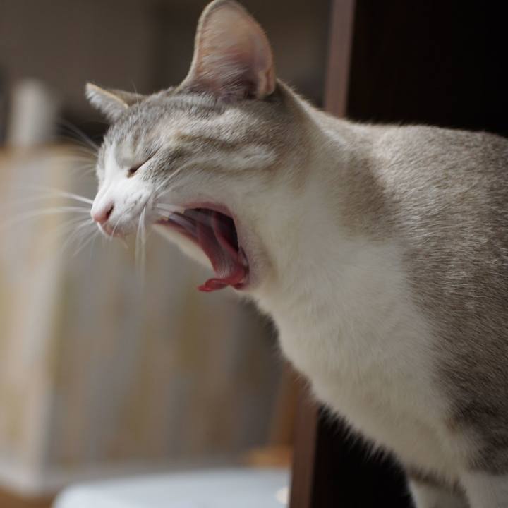 39145bc0 238d 4aed 8bbc 4a7d642715af 1547255036870