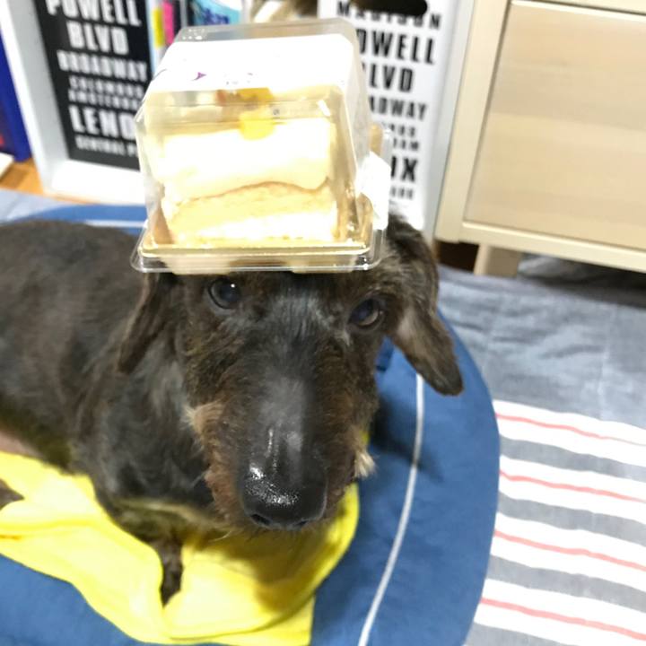 39145f3c 7f79 458a 8eca 062ebb2de5dd 1559659060316