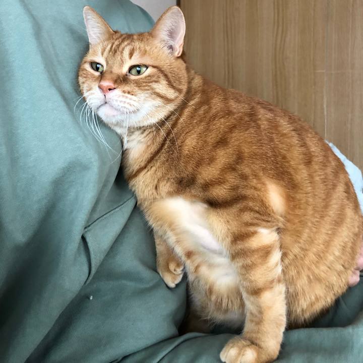 391462c1 9a85 494d a865 31ed892e925b 1647641177679