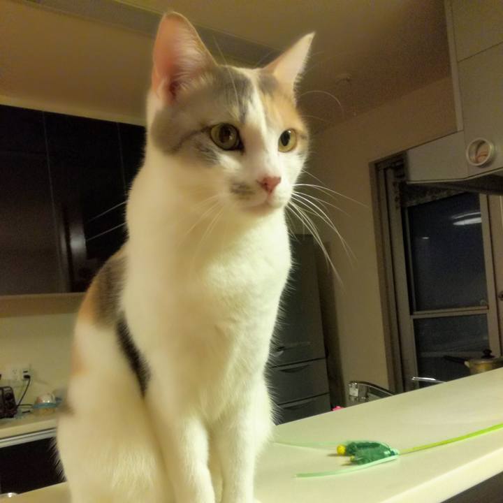 39148758 d2e7 4fed be7b 897f7ec2127d 1541068446208