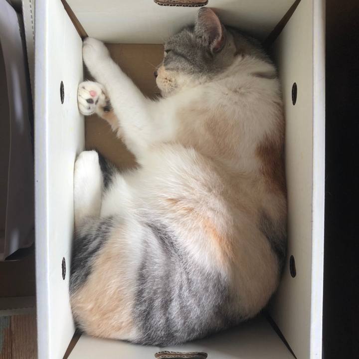 3914d49f db0e 4de3 9e65 3f4b23265cff 1595812333726