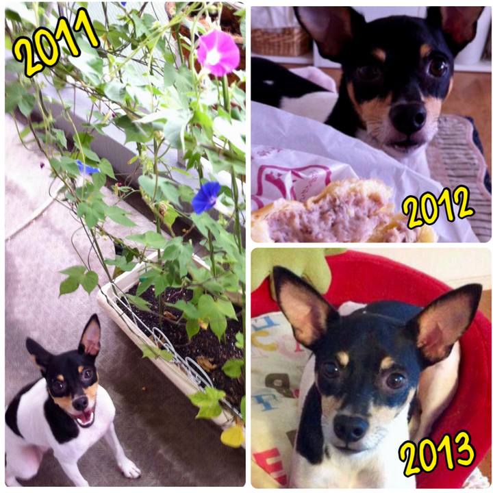 3914f46c f5a5 48b1 9e83 428b4ff26b08 1662256957195