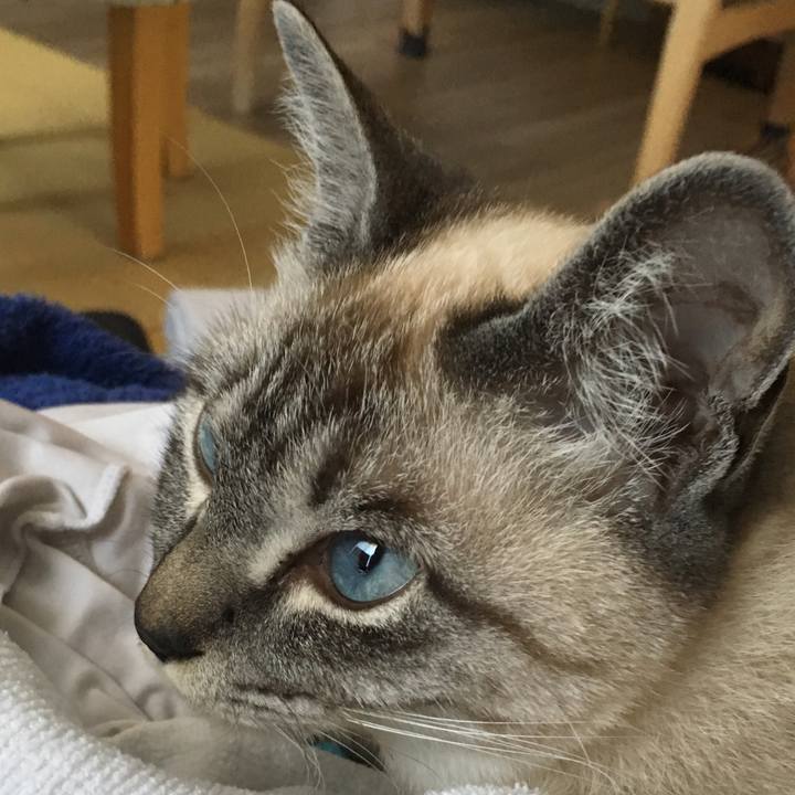 39150419 af67 4691 8e3a 3dce74e92fce 1557286224116