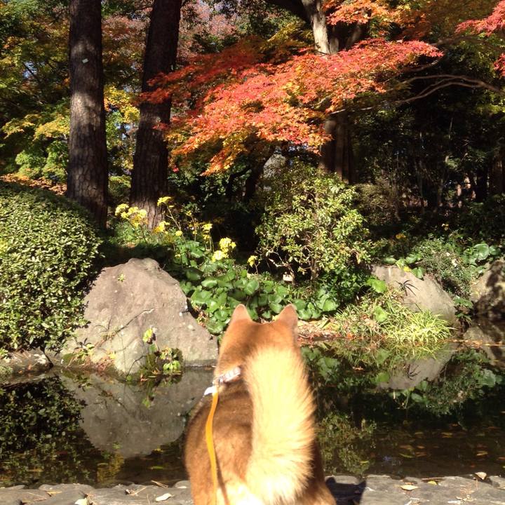 39156d0a 07da 4be8 9a83 60bc797e05ce 1511522493433