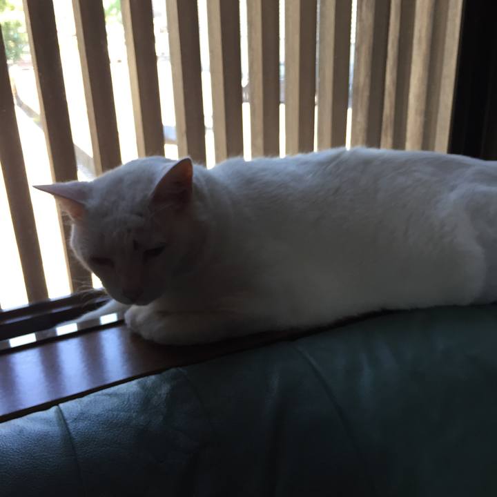 391577fc 71a8 4757 91b1 78b7f2a6b1cb 1531530917278