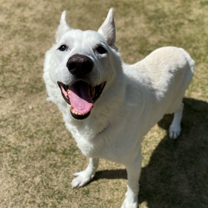 39158619 f20e 4f98 a81b 19bde14cc69e 1649738456860